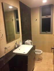 Residences @ Evelyn (D11), Condominium #441292201
